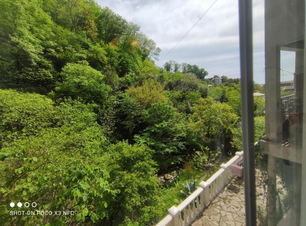 Guest House Chalet Agave Gagra Exterior foto